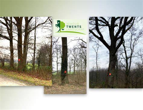 Groepswandeling door Twents landschap
