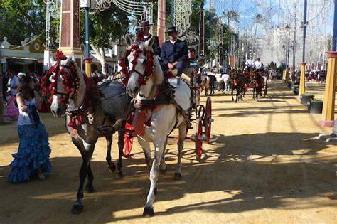 Andalusische paarden tijdens Feria del Caballo